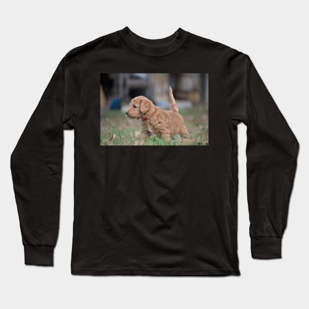 Concentrating Puppy Long Sleeve T-Shirt by A Thousand Words Photography